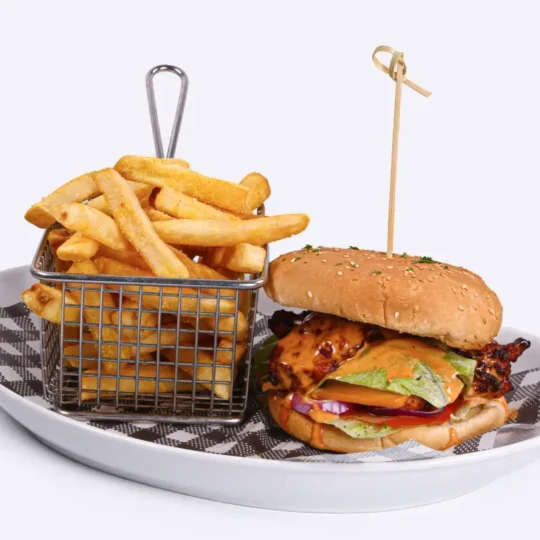 Chicken burger with chips